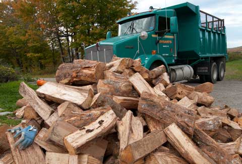 Delivered Wood in front of dysart's truck